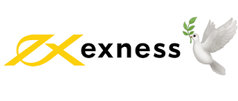 Understanding the Exness Terminal A Beginner's Guide