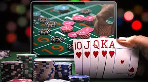 Best Casino Platforms for Sports 8 Best Casino Platforms for Sports 8