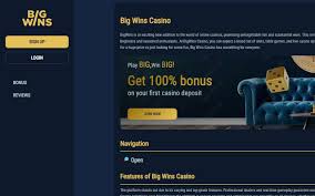 Big Wins Online Casino 2025